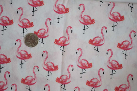 #78 Flamingos